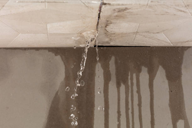 Professional Water Damage Inspection technician working in Universal City, TX